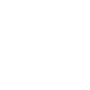 Silver Source Technology logo white